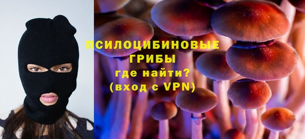 шишки Баксан