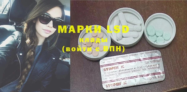 шишки Баксан