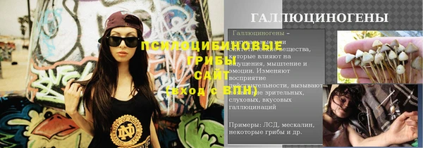 PSILOCYBIN Богданович