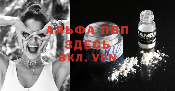 шишки Баксан