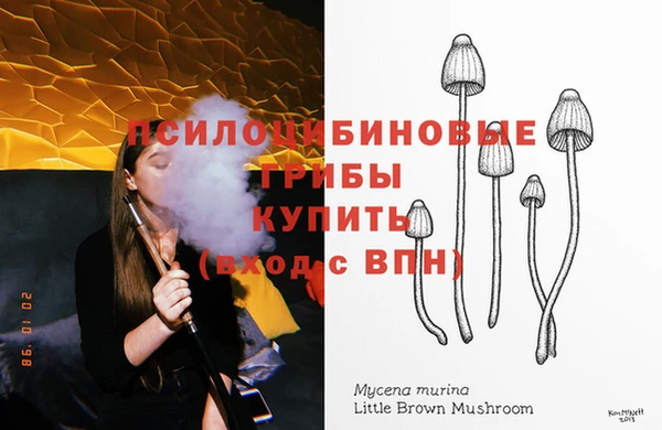 шишки Баксан