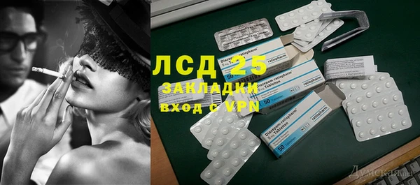 PSILOCYBIN Богданович