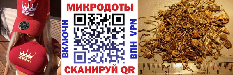 Купить Славянск-на-Кубани Псилоцибиновые грибы Psilocybe